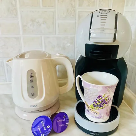 阳光埃尔萨公寓酒店 *